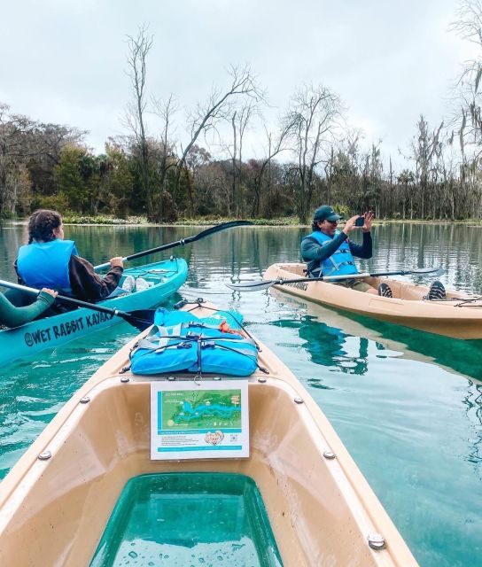 Silver Springs: Glass Bottom Kayak and Wildlife Tour - Who Should Consider This Tour?