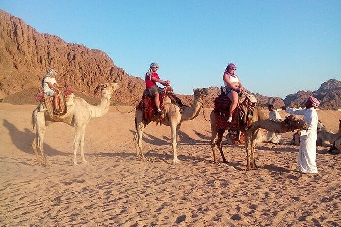 Sinai Desert Adventure Quad Bikes/ATV & Family Car Buggy - Paying Attention to Details: What You Should Know