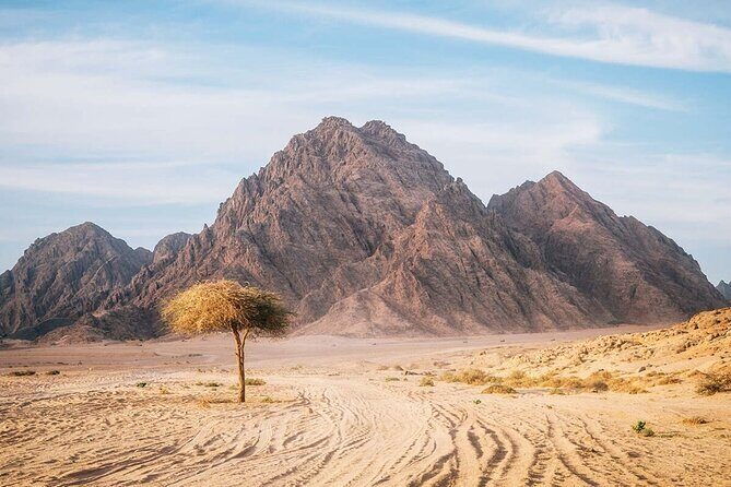 Sinai Desert Private Adventure Car Buggy From Sharm El Sheikh - Authentic Experiences & Real Traveler Insights