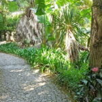 Sintra: Hidden Secrets Mountain Walk with Local Guide - Breathtaking Viewpoints and Iconic Monuments
