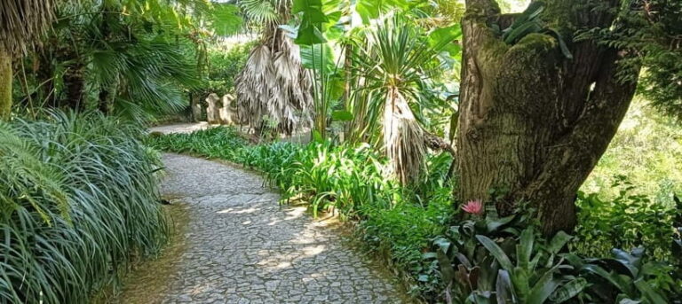 Sintra: Hidden Secrets Mountain Walk with Local Guide - Breathtaking Viewpoints and Iconic Monuments