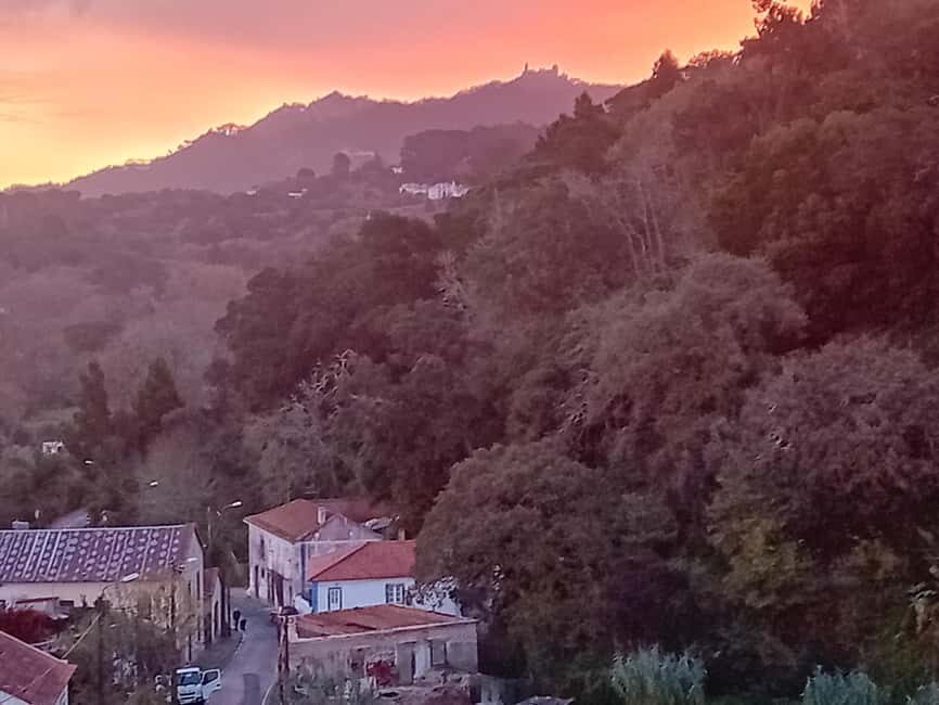 Sintra Mystic Forest Journey: Guided Tour in a Convertible. - Why This Tour Offers More Than Just Sightseeing