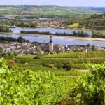 Sip Wine Along the Rhine - Grape Day out from Frankfurt - What Makes This Tour Stand Out?