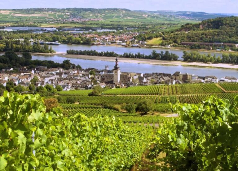 Sip Wine Along the Rhine - Grape Day out from Frankfurt - What Makes This Tour Stand Out?