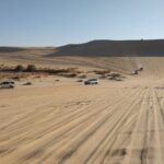 Siwa Sunset Desert Safari Sand board activity & Optional Dinner - The Itinerary in Detail: Whats Included and What to Expect