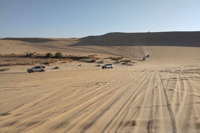 Siwa Sunset Desert Safari Sand board activity & Optional Dinner - The Itinerary in Detail: Whats Included and What to Expect