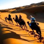 Six Days From Casablanca To Sahara - What Makes This Tour Special