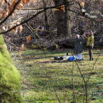 Skåne: guided hike in national park incl lunch close to Lund - Exploring Dalby Söderskog National Park and Its Surroundings