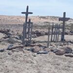 Skeleton Coast Cape Cross Seal colony Tour - Practical Tips for Travelers