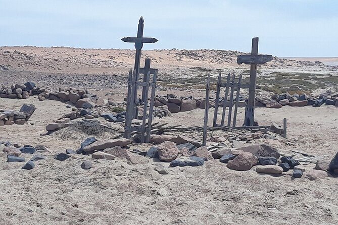 Skeleton Coast Cape Cross Seal colony Tour - Practical Tips for Travelers