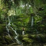 Skeleton Gorge to Table Mountain summit - What to Expect from the Itinerary