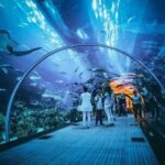 Ski Dubai Tickets with options - Who Is This Experience Best For?
