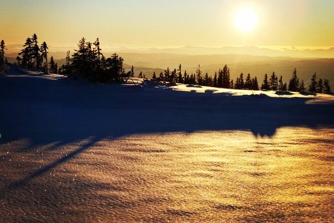 Skiing in winter wonderland - Why This Tour Works