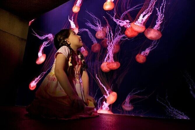 Skip The Line : Atlantis Lost Chambers Aquarium - Who Will Love This Experience?