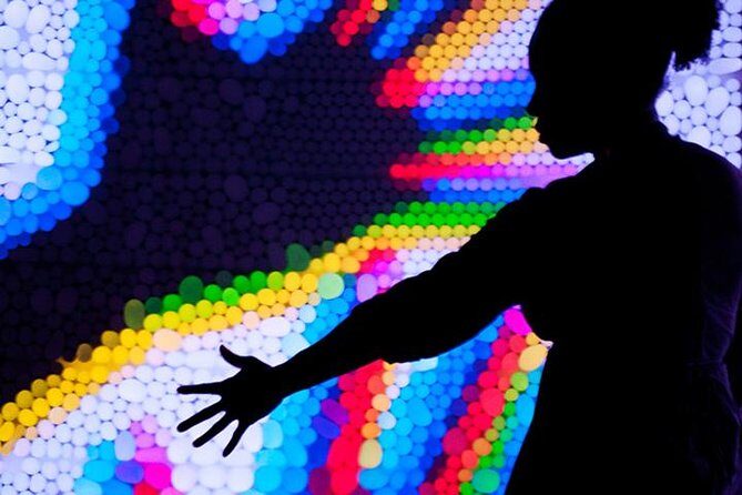 SKIP THE LINE: Exploratorium Daytime Admission - Frequently Asked Questions