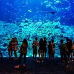 Skip the Line Hurghada Grand Aquarium transfer & entrance - Authentic Experiences and Highlights From Reviews