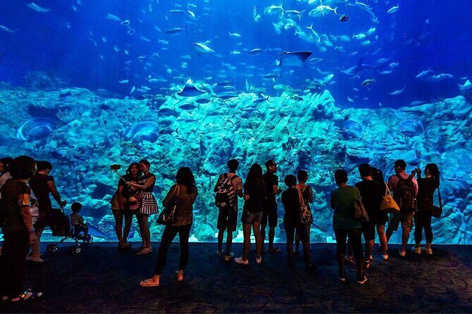 Skip the Line Hurghada Grand Aquarium transfer & entrance - Authentic Experiences and Highlights From Reviews