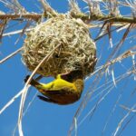 Small Group 3 Day Garden Route Adventure from Cape Town - Who Should Consider This Tour?