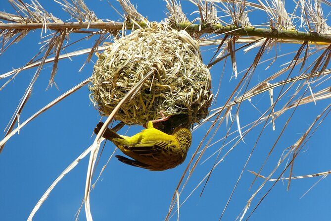 Small Group 3 Day Garden Route Adventure from Cape Town - Who Should Consider This Tour?
