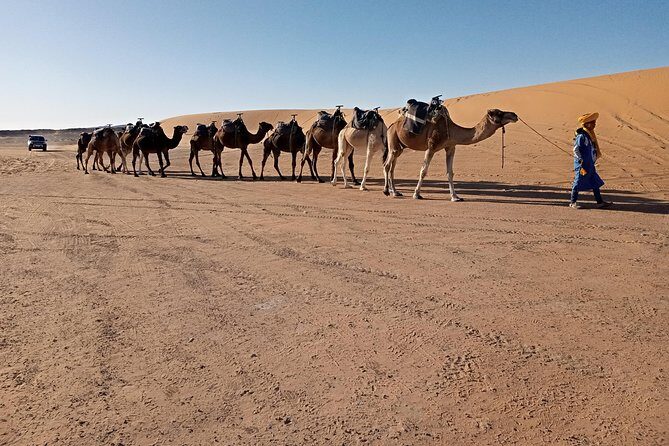 Small Group 3 Days Desert Trip From Fez to Marrakesh - Day 2: Camel Trekking and Sahara Adventures