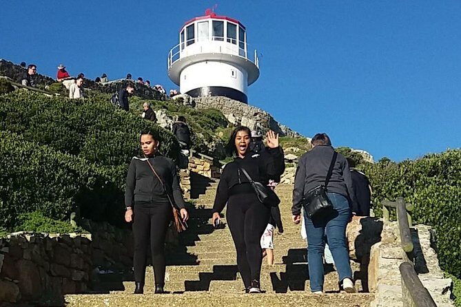 Small Group Cape Of Good Hope Penguins Wine Tasting Inc Park Fees - What Reviewers Love Most