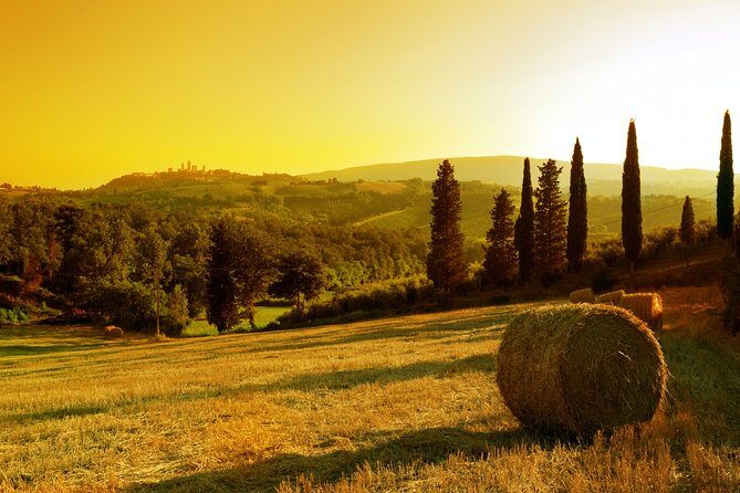 Small-Group Chianti and San Gimignano Sunset Trip from Siena - Who Will Love This Tour?