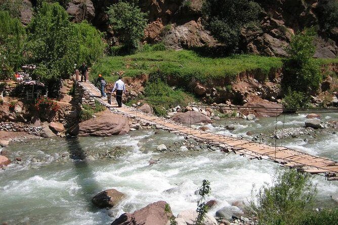 Small Group Day Tour to Ourika Valley from Marrakech - Transport & Group Size