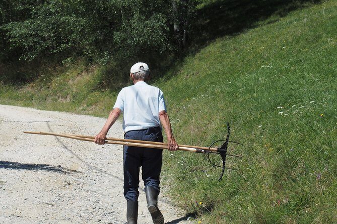 Small-Group Day Trip in Romanian Authentic Mountain Villages from Brasov - Who is This Tour Best For?