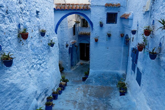 Small Group Day Trip to Chefchaouen from Fez - Authentic Insights from Travelers
