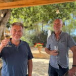 Small group- Exclusive Olive Oil & Wine Tour Mallorca - Highlights That Make This Tour Stand Out