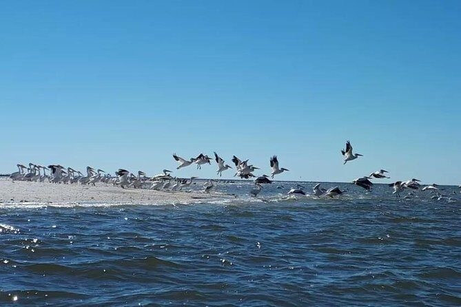 Small Group Motorboat Eco Tour of the Everglades - Practical Tips for Your Journey