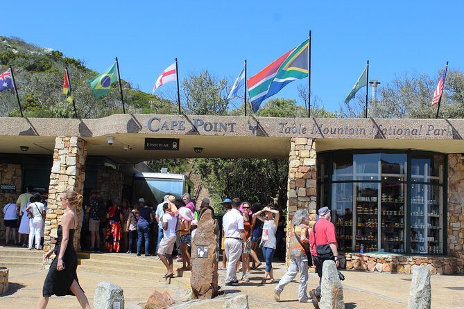 Small Group Private Tour To Cape Point Penguins From Cape Town Excl Entry Fees - Who Is This Tour Best For?