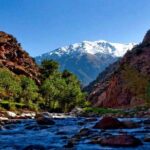Small group To Atlas Mountains and Ourika valley From Marrakech - The Experience You’ll Take Home
