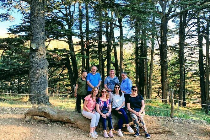 Small-Group Tour Qadisha Valley, Becharre and Cedars with Lunch and Tickets - Practical Details & Value