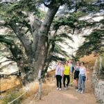 Small-Group Tour with Lunch to Qadisha Valley, Bcharre and Cedars - Who Would Enjoy This Tour?