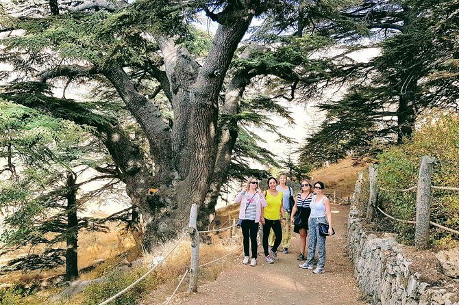 Small-Group Tour with Lunch to Qadisha Valley, Bcharre and Cedars - Who Would Enjoy This Tour?