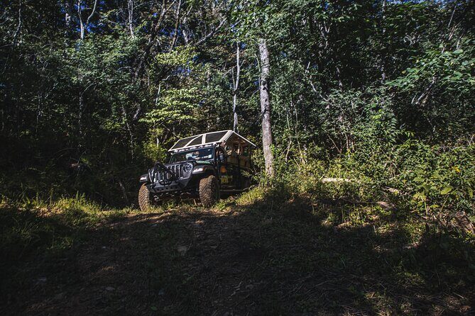 Smoky Mountains Roaring Fork Guided Sightseeing Tour by Jeep - Why This Tour Works and Who It’s Best For