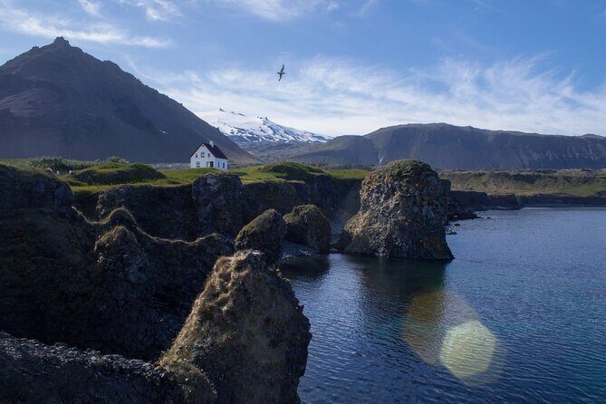 Snæfellsnes in Spanish with lunch on a farm Minibus - Mid-Morning: Lunch at Lýsuhóll Farm
