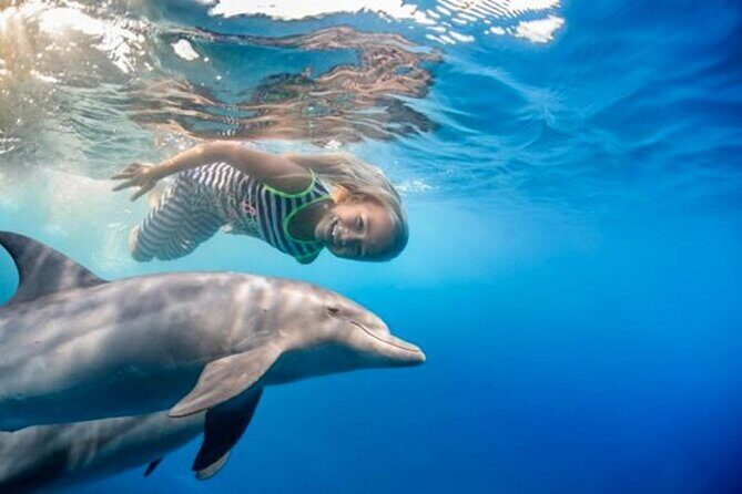 Snorkel at The Dolphin House Adventure In Hurghada - Authentic Experiences From Reviews