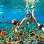 Snorkeling Activity in Aqaba with Lunch and Transportation (Boat) - Practical Tips for Your Trip