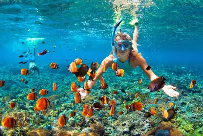 Snorkeling Activity in Aqaba with Lunch and Transportation (Boat) - Practical Tips for Your Trip