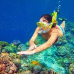 Snorkeling Adventure at Dolphin House Reef & Transfers-Marsa Alam - Analyzing the Value