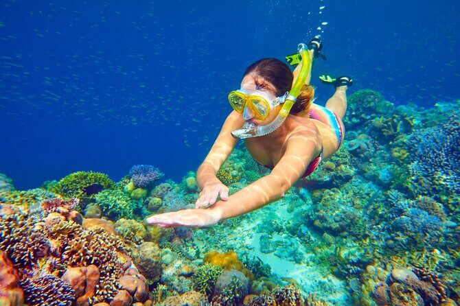 Snorkeling Adventure at Dolphin House Reef & Transfers-Marsa Alam - Analyzing the Value