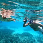 Snorkeling Adventure to Daymaniat Islands - The Sum Up: Who Will Love This Tour?