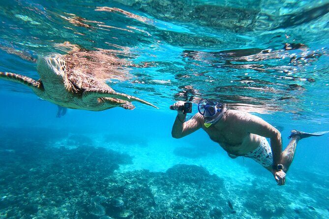 Snorkeling Adventure to Daymaniat Islands - The Sum Up: Who Will Love This Tour?