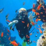 Snorkeling at Ras Mohamed in Sharm El Sheikh - Authentic Insights from Reviews