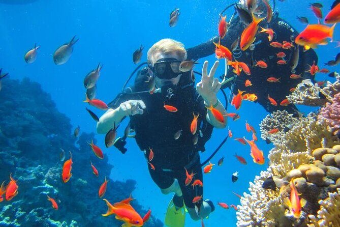 Snorkeling at Ras Mohamed in Sharm El Sheikh - Authentic Insights from Reviews