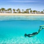 Snorkeling Day Trip in Hurghada - What You’ll Love About This Tour
