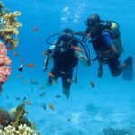 Snorkeling Day White Island & Ras Mohamed With Top VIP yacht - A Detailed Look at the Itinerary and Experience