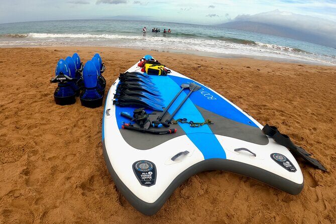 Snorkeling for Non-Swimmers Guided Tour - Wailea Beach - A Step-By-Step Breakdown of the Experience